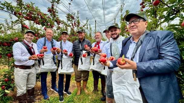 Colheita da Ma&ccedil;a