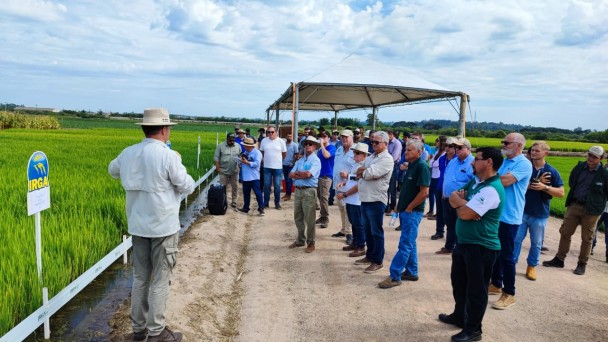 Dia de Campo do Irga em Camaqu&atilde; 