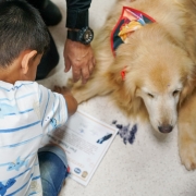 A imagem mostra um c&atilde;o Golden Retriever deitado no ch&atilde;o, usando um len&ccedil;o vermelho decorativo no pesco&ccedil;o. Uma crian&ccedil;a interage com o animal, segurando uma folha impressa pr&oacute;xima &agrave;s patas do cachorro. Duas m&atilde;os adultas tamb&eacute;m aparecem na cena, demonstrando apoio e cuidado, enquanto o c&atilde;o permanece calmo e atento.