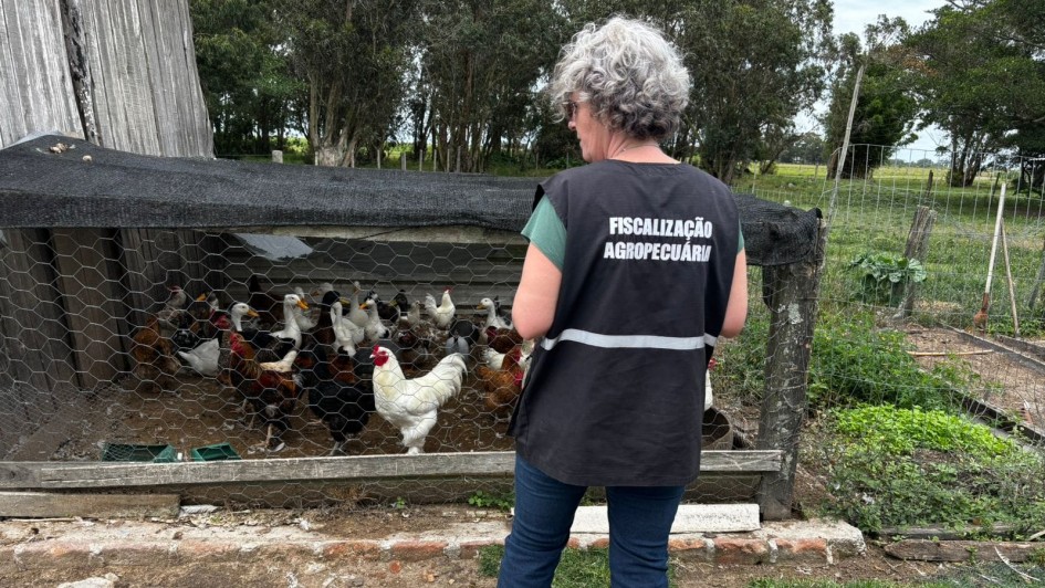 Fiscais agropecu&aacute;rios trabalham na verifica&ccedil;&atilde;o da sa&uacute;de de animais nas propriedades