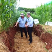 Esta &eacute; uma descri&ccedil;&atilde;o da imagem para fins de acessibilidade:

A fotografia mostra dois homens dentro de uma trincheira aberta no solo, em meio a uma planta&ccedil;&atilde;o, durante o que parece ser uma demonstra&ccedil;&atilde;o t&eacute;cnica agr&iacute;cola.

Elementos Principais
A Trincheira: No centro da imagem, h&aacute; uma escava&ccedil;&atilde;o retangular e profunda no solo de cor avermelhada (latossolo). O fundo da trincheira e as bordas superiores est&atilde;o cobertos por uma espessa camada de palhada seca (cobertura morta), de cor dourada.

As Pessoas: Dois homens est&atilde;o em p&eacute; dentro da vala, observando as paredes do solo.

O homem &agrave; esquerda veste camisa azul clara, cal&ccedil;a preta e um chap&eacute;u de palha com fita escura. Ele aponta com a m&atilde;o direita para a parede de terra, como se explicasse algo.

O homem &agrave; direita veste uma camisa social azul clara de mangas compridas e cal&ccedil;a escura, observando atentamente a explica&ccedil;&atilde;o.

A Vegeta&ccedil;&atilde;o: Ao redor da trincheira, crescem plantas altas e verdes, identific&aacute;veis como milho e outras forrageiras (como braqui&aacute;ria). As plantas s&atilde;o densas e ultrapassam a altura dos homens.

Detalhes e Contexto
Sinaliza&ccedil;&atilde;o: Ao fundo, do lado direito, h&aacute; pequenas placas brancas de identifica&ccedil;&atilde;o fixadas no solo; uma delas cont&eacute;m a palavra "BRACHIARIA".

Ambiente: A cena ocorre ao ar livre, sob luz natural difusa. O foco da imagem est&aacute; na estrutura do solo e nas ra&iacute;zes que podem ser analisadas atrav&eacute;s do corte na terra.

Prop&oacute;sito: A imagem ilustra pr&aacute;ticas de manejo de solo, como a an&aacute;lise de perfil e o uso de plantio direto com cobertura de palha para resili&ecirc;ncia h&iacute;drica.