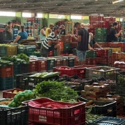 Ceasa   mar de 2026   Mateus Ribas Ascom SDR