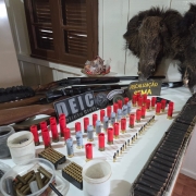 opera&ccedil;&atilde;o sema javali