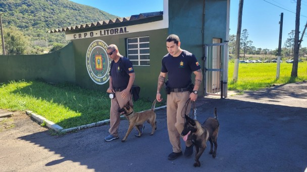 Caes no CRPO Litoral Jussara Pelissoli abr26