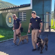 Caes no CRPO Litoral Jussara Pelissoli abr26