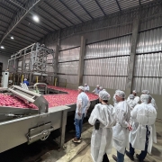 Foto de visita a produtores de ma&ccedil;&atilde;