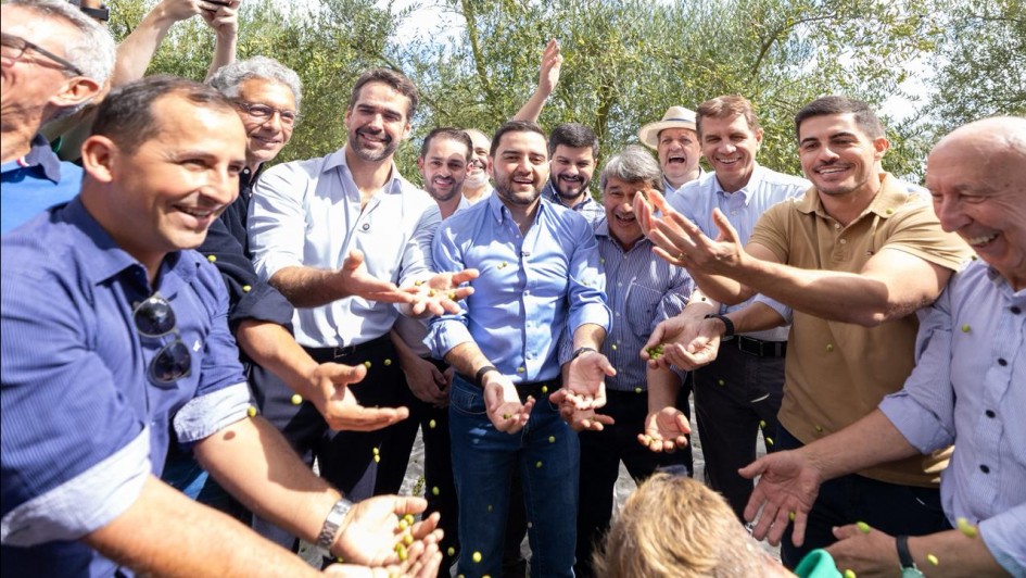 Foto mostra o governador Eduardo Leite e o vice-governador Gabriel Souza com outras autoridades e produtores. Eles est&atilde;o em frente a oliveiras. Todos jogam olivas verdes para cima em celebra&ccedil;&atilde;o &agrave; colheita.