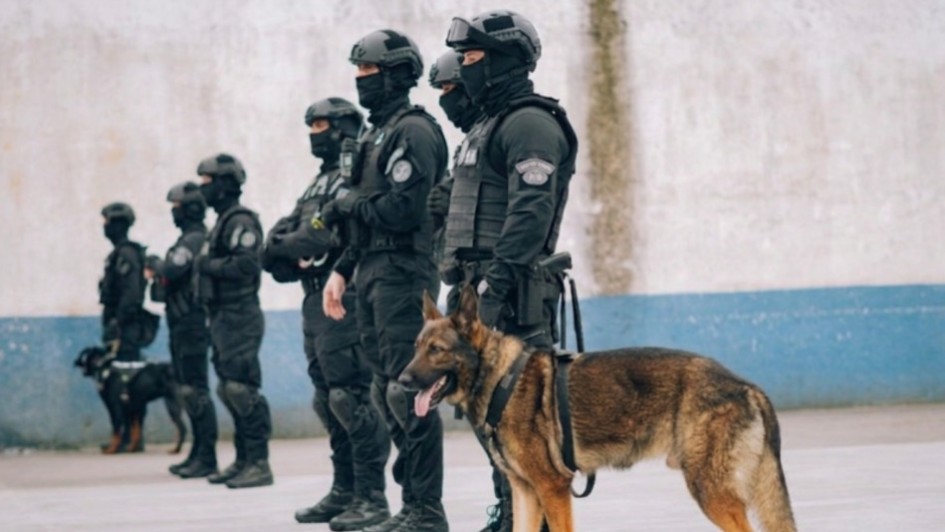 Foto de policiais penais e c&atilde;es de trabalho
