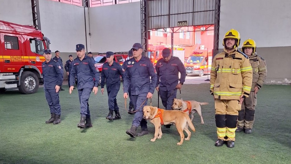 A imagem registra um simulado operacional em &aacute;rea coberta de um quartel ou pavilh&atilde;o. Um grupo de bombeiros caminha em forma&ccedil;&atilde;o sobre piso verde, acompanhado por dois c&atilde;es de trabalho com coletes laranja. &Agrave; direita, outros integrantes vestem equipamento completo de combate a inc&ecirc;ndio, com capacetes amarelos e jaquetas de prote&ccedil;&atilde;o.