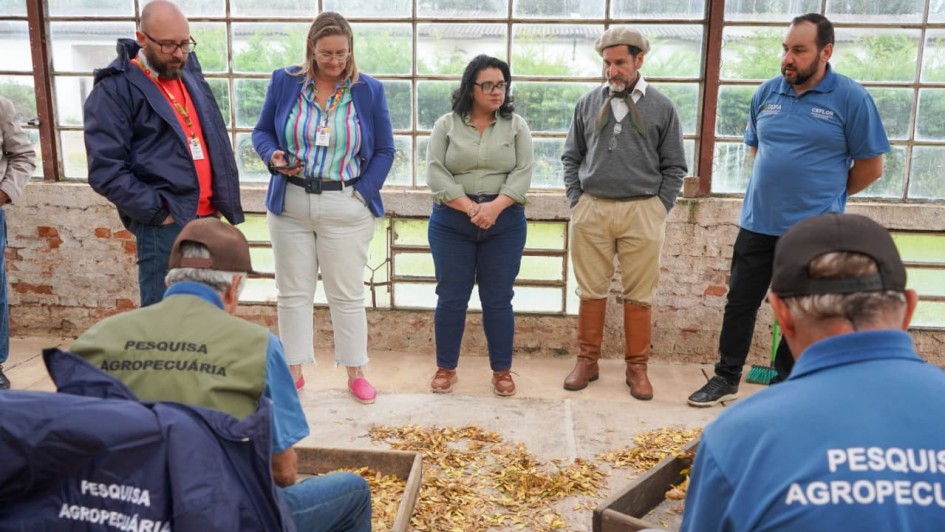 Foto mostra secret&aacute;ria Marjorie Kauffmann e outros integrantes da comitiva ao Ceflor.