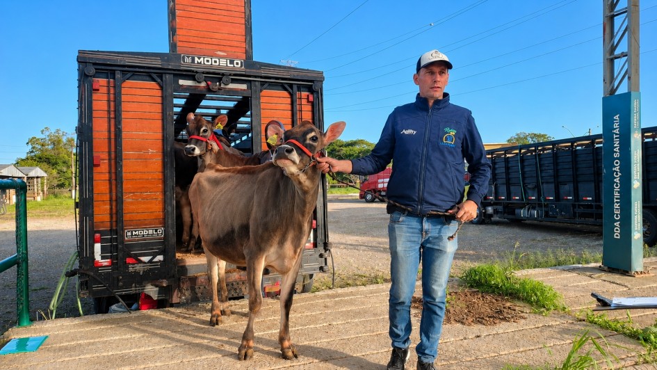 Desembarque de bovinos de um caminh&atilde;o de transporte, com condu&ccedil;&atilde;o dos animais por guia em &aacute;rea de evento agropecu&aacute;rio. Ao lado, h&aacute; estrutura identificada como &ldquo;DDA Certifica&ccedil;&atilde;o Sanit&aacute;ria&rdquo;.