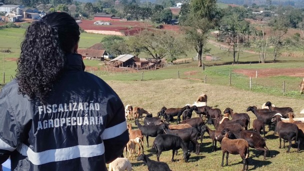 Propriedade vistoriada em Lajeado   mat&eacute;ria maio26
