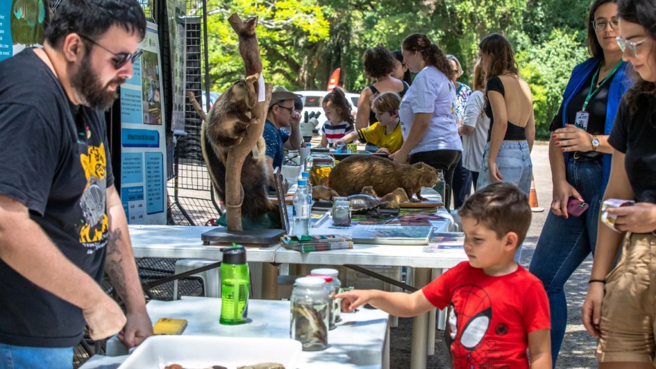 A fotografia em plano geral mostra uma atividade de educa&ccedil;&atilde;o ambiental ao ar livre, com mesas de exposi&ccedil;&atilde;o cient&iacute;fica que atraem a aten&ccedil;&atilde;o de adultos e crian&ccedil;as em um dia ensolarado.

Primeiro Plano (Esquerda e Centro-Direita):

&Agrave; esquerda, um homem de barba, &oacute;culos escuros e camiseta preta estampada com a ilustra&ccedil;&atilde;o de um felino amarelo est&aacute; inclinado sobre uma mesa, organizando materiais biol&oacute;gicos. Ele possui tatuagens no bra&ccedil;o esquerdo.

No canto inferior direito, um menino vestindo uma camiseta vermelha do Homem-Aranha estende o dedo indicador para apontar ou tocar em um frasco de vidro transparente que cont&eacute;m uma amostra biol&oacute;gica conservada em l&iacute;quido.

Sobre a mesa de pl&aacute;stico branca em primeiro plano, al&eacute;m dos frascos de vidro, h&aacute; uma garrafa pl&aacute;stica verde e uma bandeja branca contendo pequenas amostras.

Segundo Plano (&Aacute;rea de Exposi&ccedil;&atilde;o Central):

Ao longo de uma extens&atilde;o de mesas brancas enfileiradas, h&aacute; animais taxidermizados (empalhados) em exposi&ccedil;&atilde;o, incluindo um tamandu&aacute;-mirim fixado verticalmente em um galho de madeira e o que parece ser uma capivara ou grande roedor deitado, al&eacute;m de uma carca&ccedil;a de tartaruga.

Atr&aacute;s da mesa, &agrave; esquerda, pain&eacute;is de grade met&aacute;lica preta sustentam cartazes informativos com textos e fotos de peixes e ecossistemas.

Fundo e Visitantes:

Diversas pessoas, incluindo adultos e crian&ccedil;as, circulam ao longo das mesas observando a exposi&ccedil;&atilde;o. Destacam-se duas mulheres &agrave; direita, uma de blusa preta e blazer azul e outra de camiseta preta e bermuda c&aacute;qui, al&eacute;m de um grupo de crian&ccedil;as acompanhado por monitores ou respons&aacute;veis ao centro.

O ambiente &eacute; arborizado, com grama e &aacute;rvores frondosas ao fundo cuja folhagem verde-escura filtra a luz solar intensa do dia.

A imagem registra uma a&ccedil;&atilde;o pedag&oacute;gica e interativa voltada ao conhecimento da fauna e &agrave; conscientiza&ccedil;&atilde;o ecol&oacute;gica.
