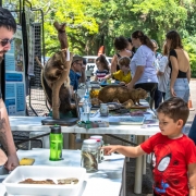 A fotografia em plano geral mostra uma atividade de educa&ccedil;&atilde;o ambiental ao ar livre, com mesas de exposi&ccedil;&atilde;o cient&iacute;fica que atraem a aten&ccedil;&atilde;o de adultos e crian&ccedil;as em um dia ensolarado.

Primeiro Plano (Esquerda e Centro-Direita):

&Agrave; esquerda, um homem de barba, &oacute;culos escuros e camiseta preta estampada com a ilustra&ccedil;&atilde;o de um felino amarelo est&aacute; inclinado sobre uma mesa, organizando materiais biol&oacute;gicos. Ele possui tatuagens no bra&ccedil;o esquerdo.

No canto inferior direito, um menino vestindo uma camiseta vermelha do Homem-Aranha estende o dedo indicador para apontar ou tocar em um frasco de vidro transparente que cont&eacute;m uma amostra biol&oacute;gica conservada em l&iacute;quido.

Sobre a mesa de pl&aacute;stico branca em primeiro plano, al&eacute;m dos frascos de vidro, h&aacute; uma garrafa pl&aacute;stica verde e uma bandeja branca contendo pequenas amostras.

Segundo Plano (&Aacute;rea de Exposi&ccedil;&atilde;o Central):

Ao longo de uma extens&atilde;o de mesas brancas enfileiradas, h&aacute; animais taxidermizados (empalhados) em exposi&ccedil;&atilde;o, incluindo um tamandu&aacute;-mirim fixado verticalmente em um galho de madeira e o que parece ser uma capivara ou grande roedor deitado, al&eacute;m de uma carca&ccedil;a de tartaruga.

Atr&aacute;s da mesa, &agrave; esquerda, pain&eacute;is de grade met&aacute;lica preta sustentam cartazes informativos com textos e fotos de peixes e ecossistemas.

Fundo e Visitantes:

Diversas pessoas, incluindo adultos e crian&ccedil;as, circulam ao longo das mesas observando a exposi&ccedil;&atilde;o. Destacam-se duas mulheres &agrave; direita, uma de blusa preta e blazer azul e outra de camiseta preta e bermuda c&aacute;qui, al&eacute;m de um grupo de crian&ccedil;as acompanhado por monitores ou respons&aacute;veis ao centro.

O ambiente &eacute; arborizado, com grama e &aacute;rvores frondosas ao fundo cuja folhagem verde-escura filtra a luz solar intensa do dia.

A imagem registra uma a&ccedil;&atilde;o pedag&oacute;gica e interativa voltada ao conhecimento da fauna e &agrave; conscientiza&ccedil;&atilde;o ecol&oacute;gica.