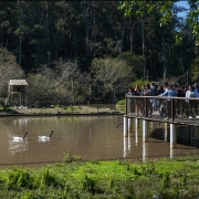 Foto mostra um lago com algumas aves e pessoas observado em um deck de madeira que est&aacute; erguido dentro d'&aacute;gua. Ao fudndo h&aacute; uma casinha e uma &aacute;rea de mata fechada. 