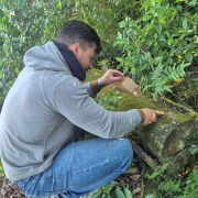 Foto mostra um ambiente de mata, toda verde. Um aluno est&aacute; agachado em dire&ccedil;&atilde;o a um tronco ca&iacute;do onde observa os musgos.