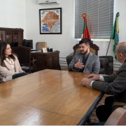 A fotografia em plano m&eacute;dio registra uma reuni&atilde;o de trabalho em um gabinete governamental, identificada pelo t&iacute;tulo do arquivo como o ato em que o **"Rio Grande do Sul realiza ato simb&oacute;lico de renova&ccedil;&atilde;o do seguro pecu&aacute;rio ga&uacute;cho contra a febre aftosa.jpg"**.

### **Os Participantes e a Reuni&atilde;o**

* **A Disposi&ccedil;&atilde;o:** Cinco pessoas (quatro homens e uma mulher) est&atilde;o sentadas ao redor de uma grande mesa de reuni&otilde;es retangular de madeira maci&ccedil;a e clara.
* **Lado Esquerdo da Mesa:**
* Em primeiro plano, um homem idoso de cabelos grisalhos e casaco preto gesticula com as duas m&atilde;os unidas pr&oacute;ximas ao rosto enquanto fala.
* Ao seu lado, uma mulher de cabelos longos escuros acompanha a conversa. Ela veste uma blusa branca de gola alta sob um casaco sobretudo claro.


* **Lado Direito e Centro:**
* Na cabeceira ao fundo, centralizado, um homem jovem com barba aparada e vestindo um palet&oacute; cinza sobre camisa escura gesticula com a m&atilde;o direita, conduzindo ou respondendo a uma fala.
* &Agrave; direita da mesa, de perfil parcial para a c&acirc;mera, um homem calvo de cabelos grisalhos veste um palet&oacute; quadriculado (tweed) em tons escuros sobre uma camisa social clara com punhos &agrave; mostra.
* Em primeiro plano, na extrema direita, v&ecirc;-se o perfil da cabe&ccedil;a e ombros de um homem de cabelos curtos escuros vestindo um blazer cinza-claro.



### **O Gabinete e a Decora&ccedil;&atilde;o**

* **Mobili&aacute;rio de &Eacute;poca:** As cadeiras utilizadas possuem encostos altos de madeira escura com entalhes ornamentados cl&aacute;ssicos e assentos estofados. Ao fundo, no lado esquerdo, h&aacute; arm&aacute;rios e escrivaninhas de madeira maci&ccedil;a trabalhada, caracter&iacute;sticos de escrit&oacute;rios institucionais tradicionais.
* **S&iacute;mbolos Oficiais:** Na parede branca ao fundo, centralizado, h&aacute; um quadro com uma moldura escura exibindo um mapa antigo ou tem&aacute;tico do Estado do Rio Grande do Sul. Mais &agrave; direita, posicionadas ao lado de uma janela com persianas cinzas fechadas, destacam-se duas bandeiras oficiais em seus pedestais: a bandeira do Estado do Rio Grande do Sul (com suas listras verde, vermelha e amarela) e a bandeira do Brasil. Um aparelho de ar-condicionado do tipo *split* est&aacute; fixado pr&oacute;ximo ao teto, acima do quadro.