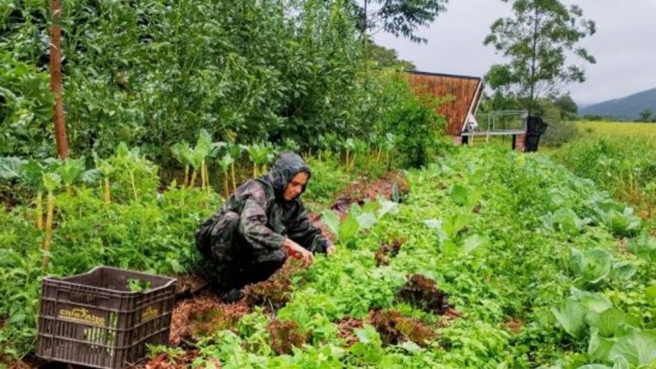 Cristine Saldanha, produtora na Regi&atilde;o Metropolitana de Porto Alegre, cultiva hortali&ccedil;as e frutas em sistema de agrofloresta&nbsp;