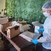 Foto mostra uma t&eacute;cnica de avental, touca e m&aacute;scaras brancas e luvas azuis mexendo num saco com documentos. Na frente dela, h&aacute; v&aacute;rias caixas com documentos. 